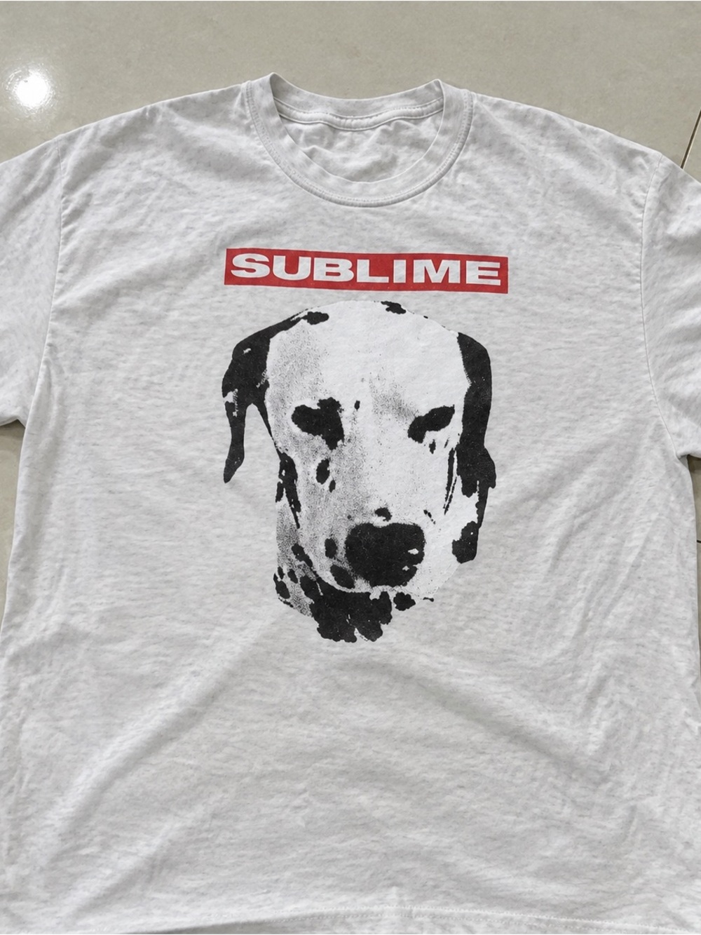 Sublime Dalmatian Dog T-shirt